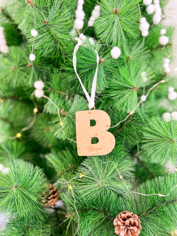 ADORNO NAVIDAD INICIAL