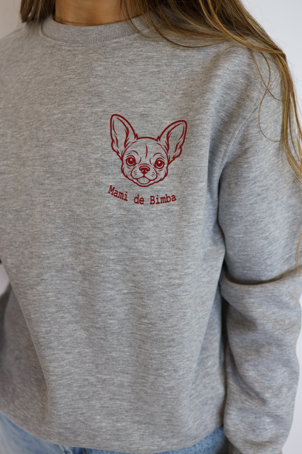 Detalle del dibujo de perro en la sudadera Mascota gris