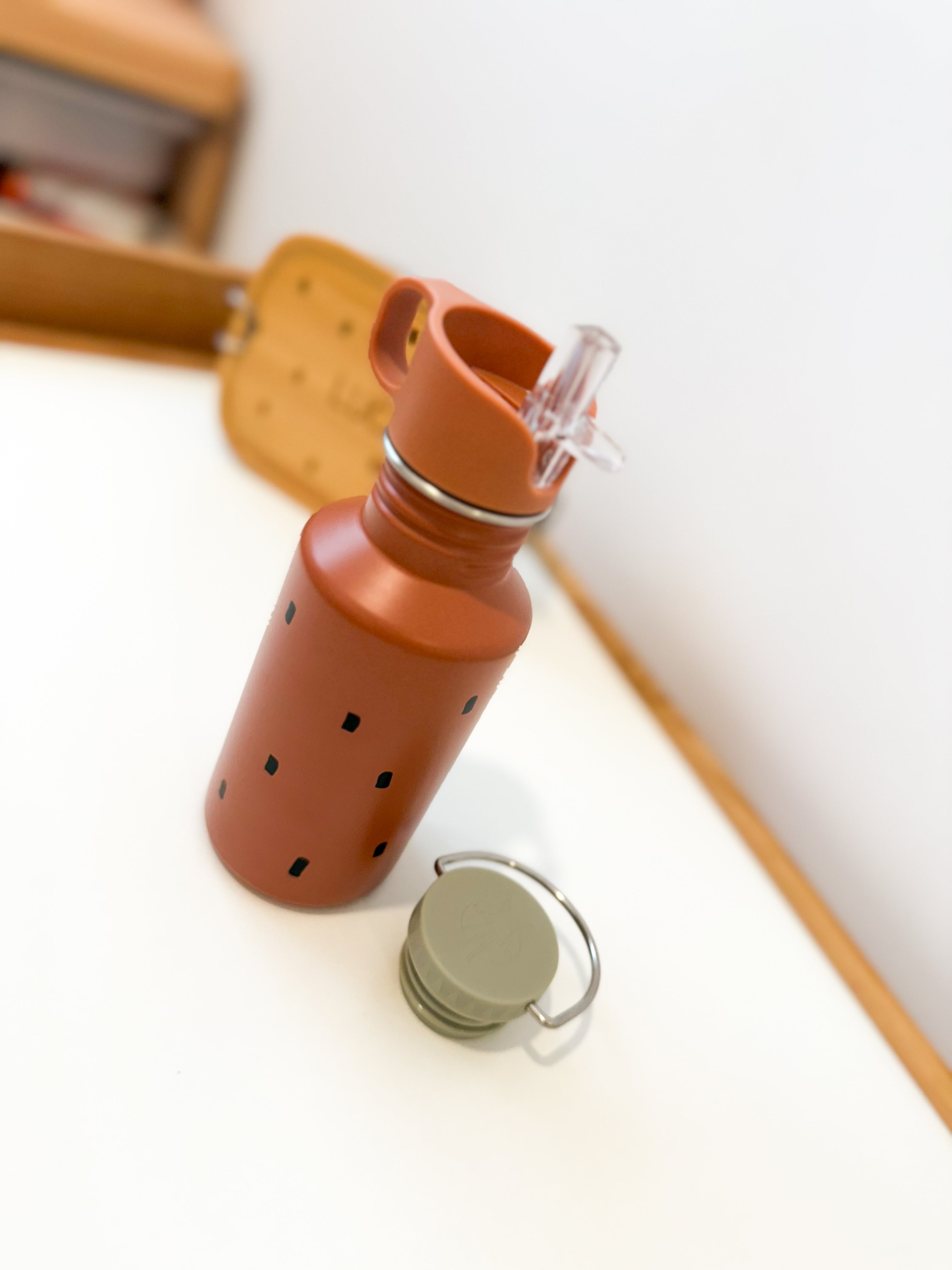 BOTELLA ACERO TERRA TOPITOS